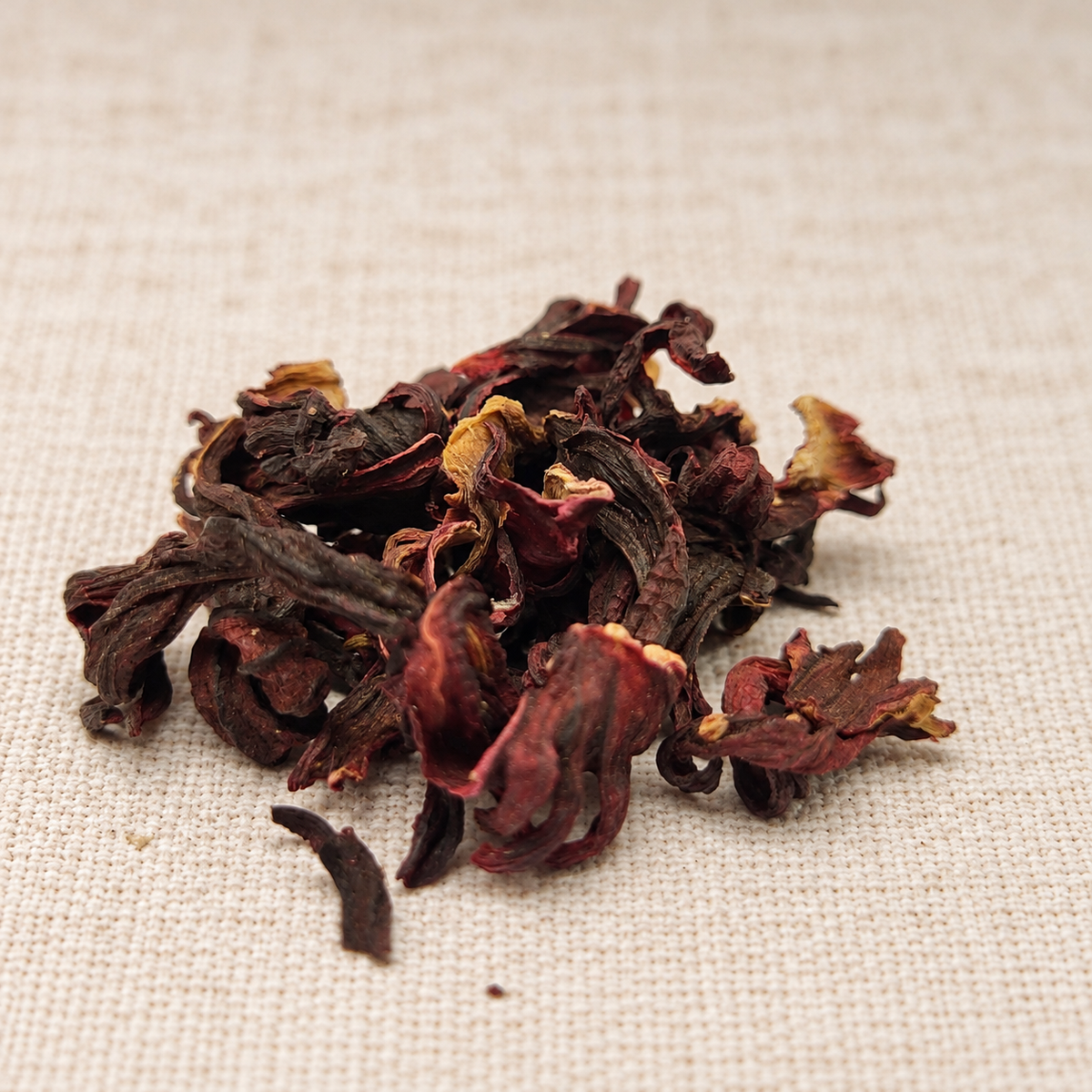 Hibiscus